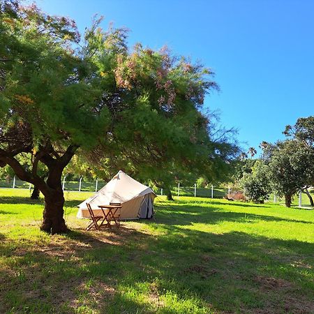 Bearsu Nature Almoxarife Horta  Exterior foto